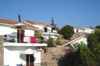 Delfinia