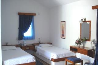 Delfinia fotoğrafı