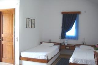 Delfinia fotoğrafı
