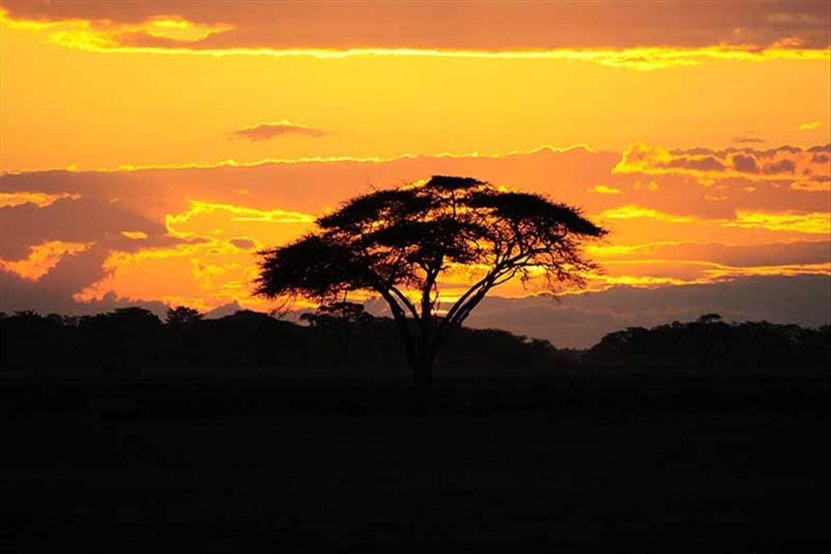 Buyuk Afrika Turu 23 Mayis 2020 Seker Bayrami Donemi