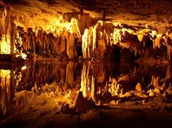 Günübirlik Dupnisa Mağarası Iğneada Turu
