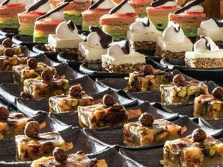 Movenpick Nabatean Castle Hotel
