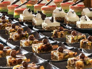 Movenpick Nabatean Castle Hotel