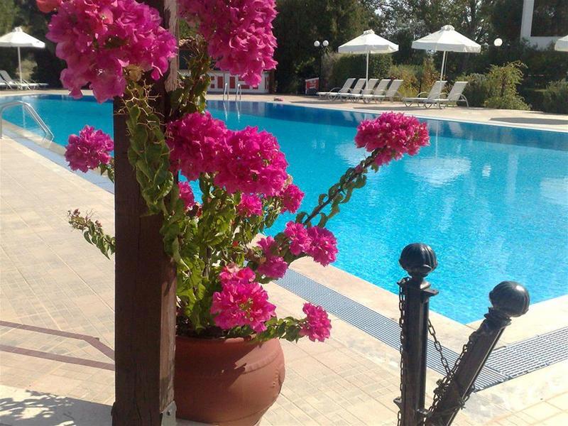 Pasiphae Hotel galeri fotoğrafı