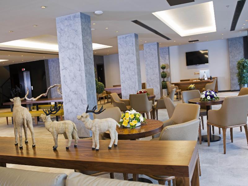 Mirage World Hotel galeri fotoğrafı