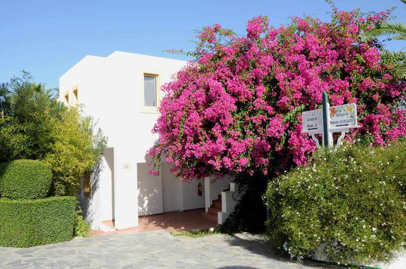 Mastichari Bay Hotel galeri fotoğrafı