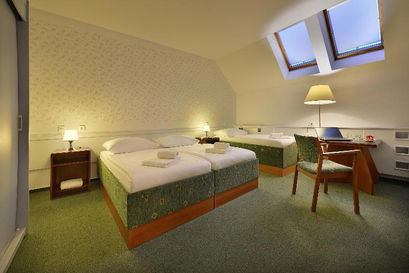 Three Crowns Hotel Prague galeri fotoğrafı