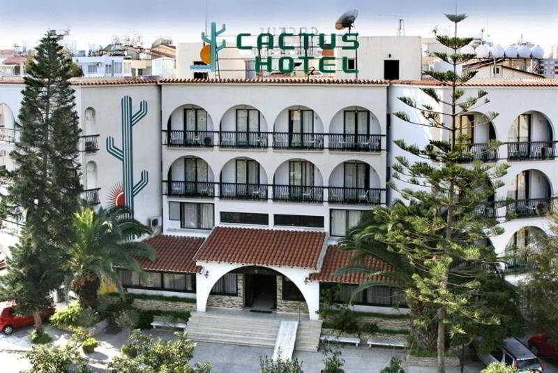 Cactus fotoğrafı