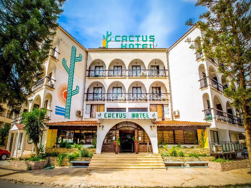 Cactus fotoğrafı