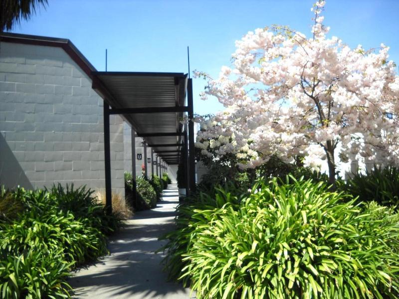 Gothic Heights Motel