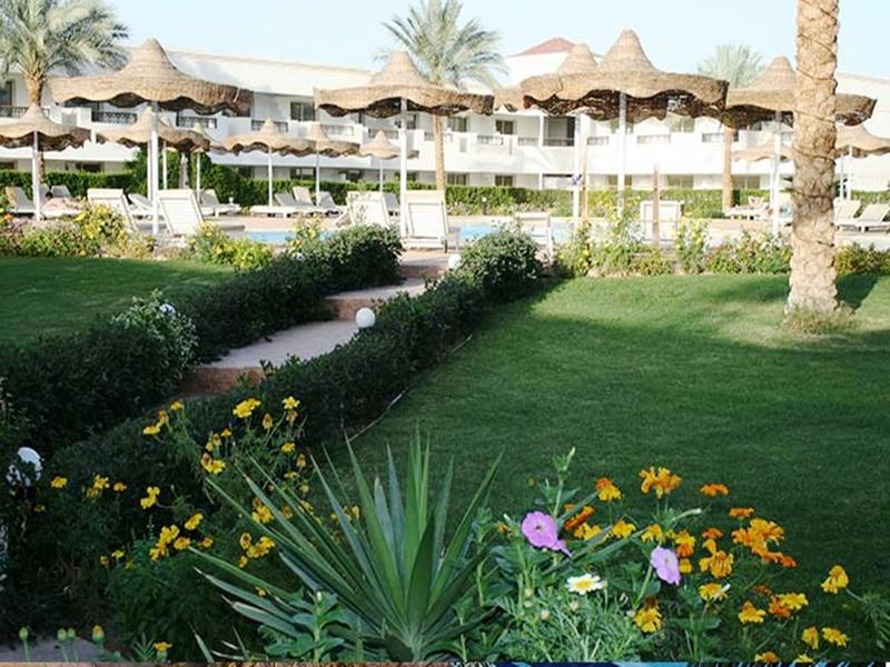 Viva Sharm Hotel