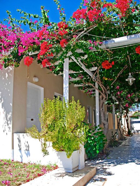 Sacallis Inn Beach Hotel galeri fotoğrafı