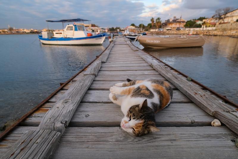 Lavantalı Konak Otel