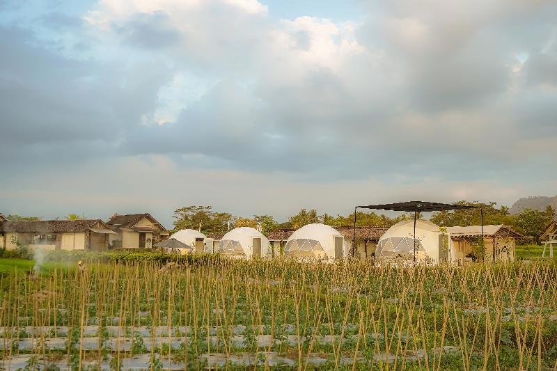 Borobudur Luxury Glamping