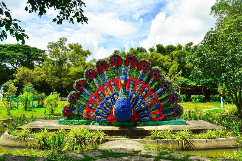 Dara Express Inn By Angkor Green Gardens