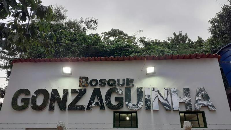 Domus Hotel Palmeiras