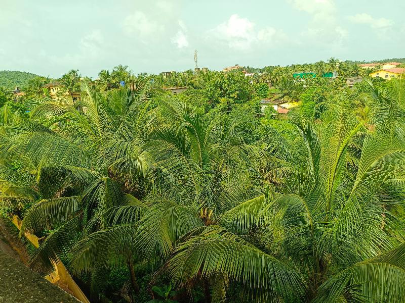 Arambol Paradise By Pss Properties