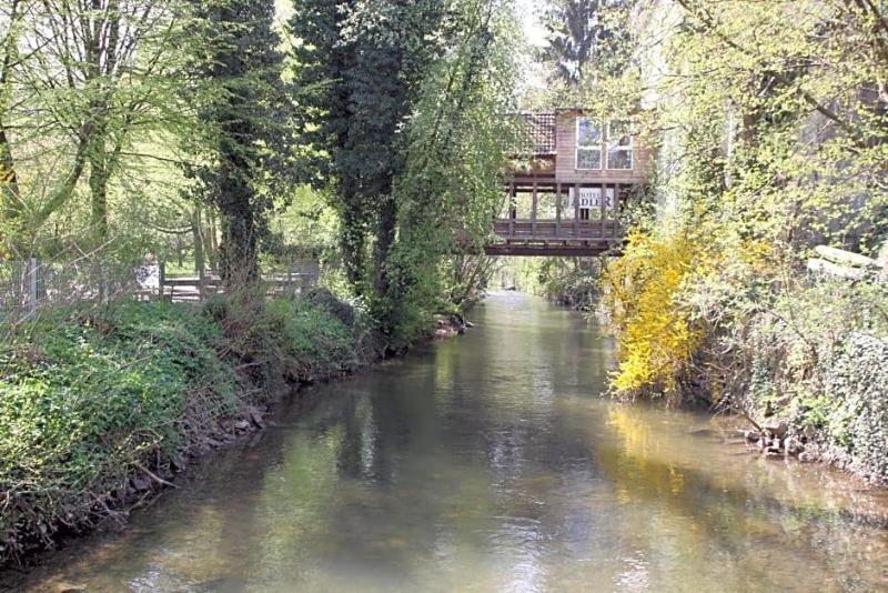 Hotel Adler fotoğrafı
