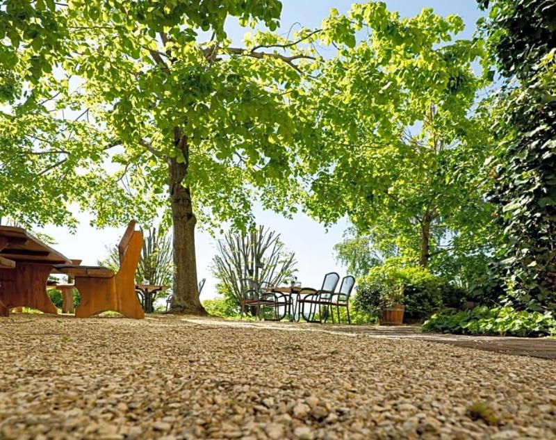 Landhotel Kirchberg galeri fotoğrafı