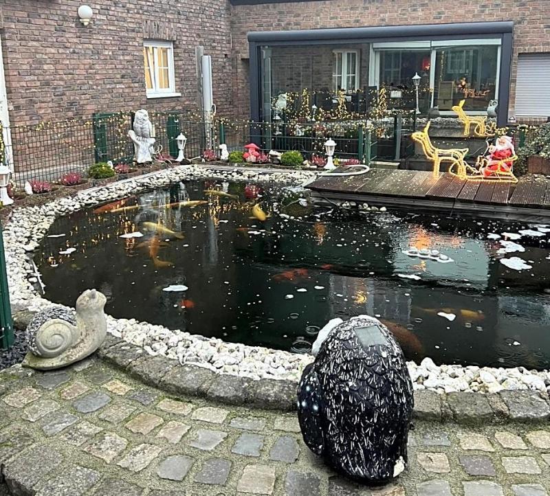 Zur Wasserburg galeri fotoğrafı