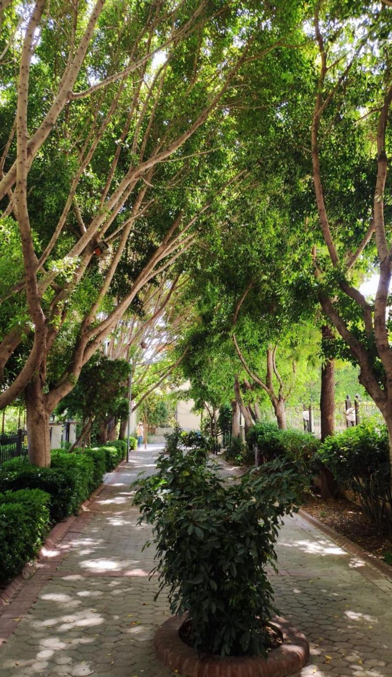 Alanya Sunset Hotels