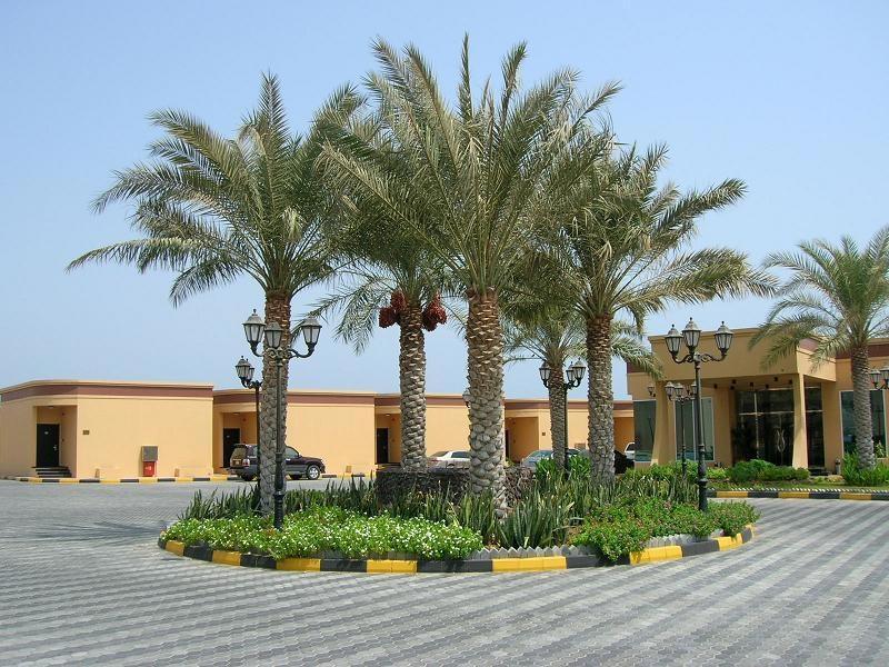 Royal Beach Hotel & Resort galeri fotoğrafı