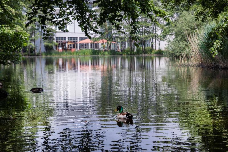 B&B HOTEL Krefeld-Sud galeri fotoğrafı