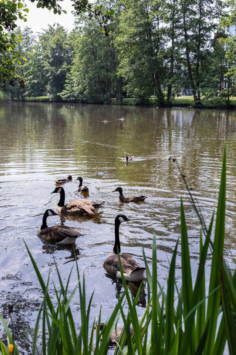 B&B HOTEL Krefeld-Sud galeri fotoğrafı