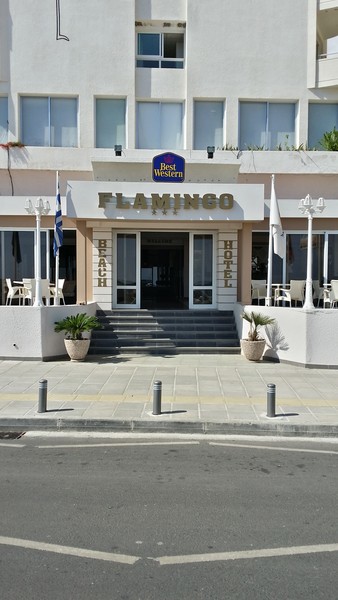 Flamingo Beach Hotel galeri fotoğrafı