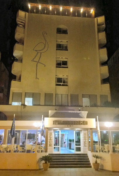 Flamingo Beach Hotel galeri fotoğrafı