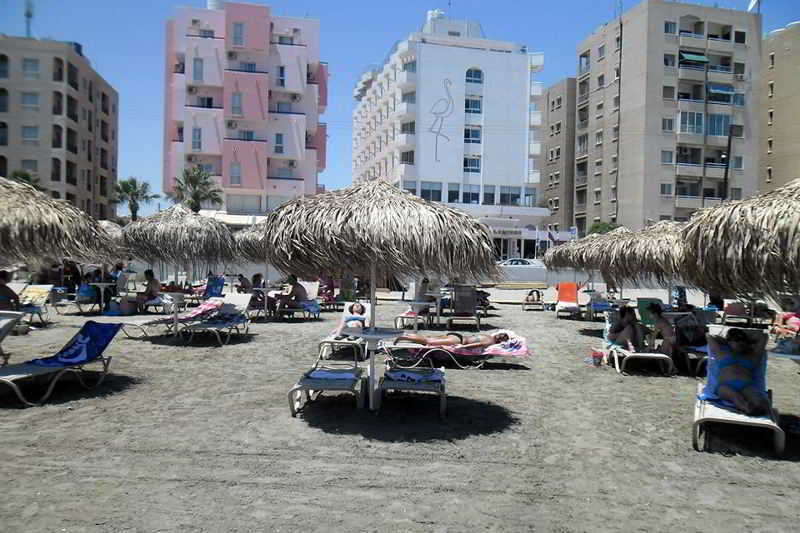 Flamingo Beach Hotel galeri fotoğrafı