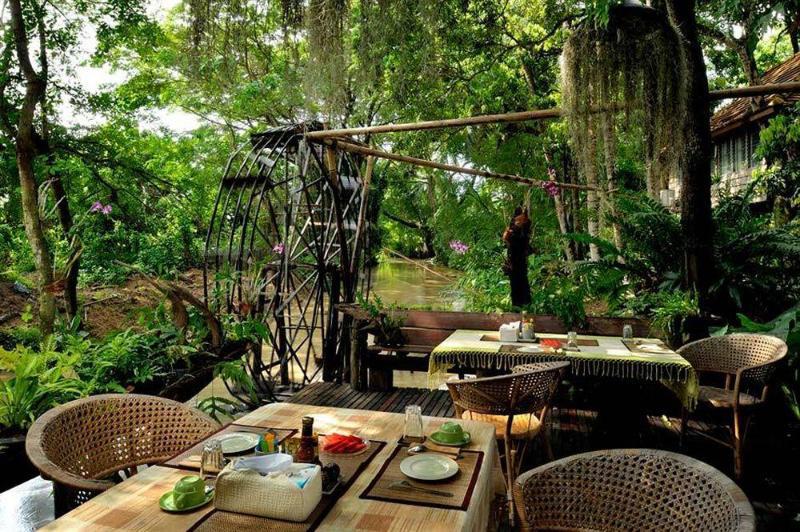 Fern Paradise
