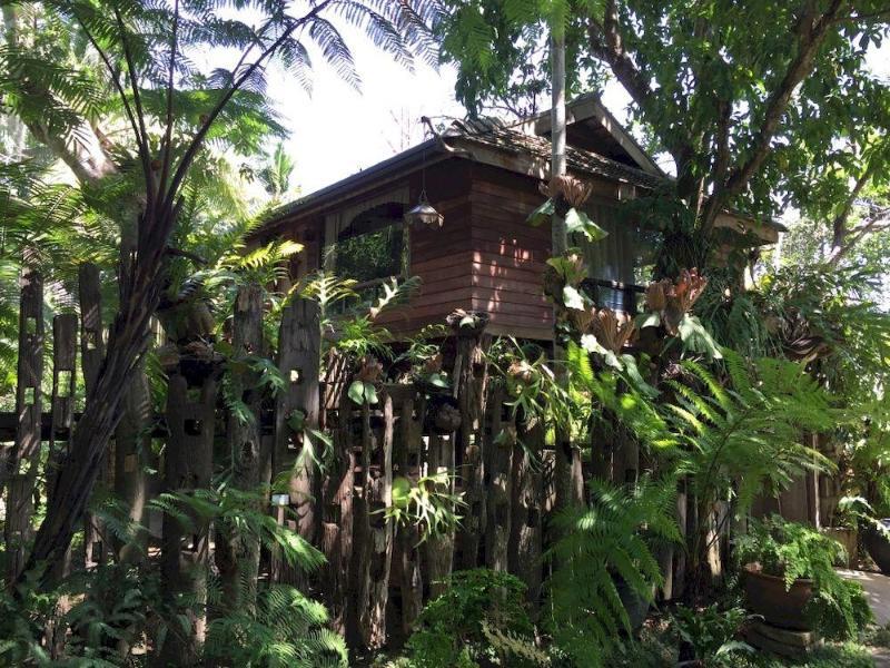 Fern Paradise