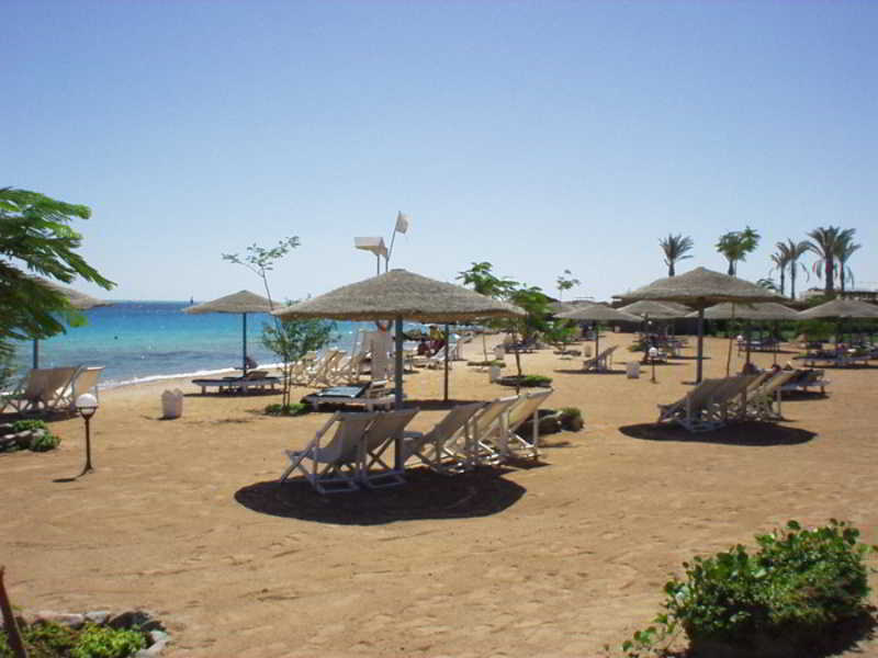 Sea Garden Hotel galeri fotoğrafı