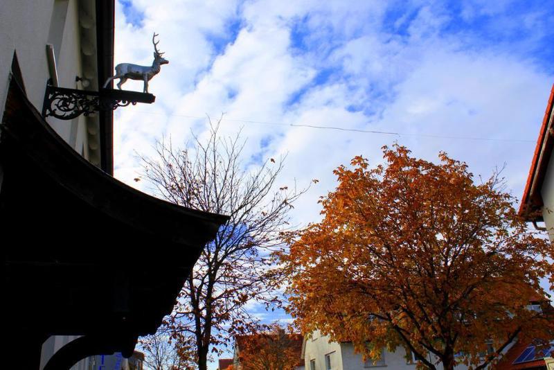 Hotel am Hirschgarten galeri fotoğrafı