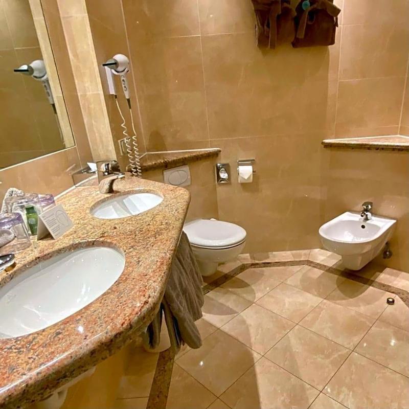 Treschers Schwarzwald Hotel galeri fotoğrafı