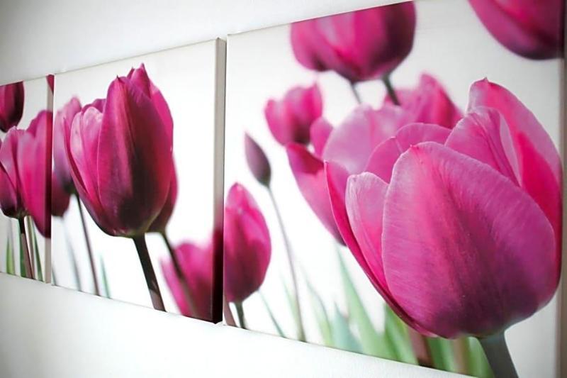 Hotel Feyrer galeri fotoğrafı