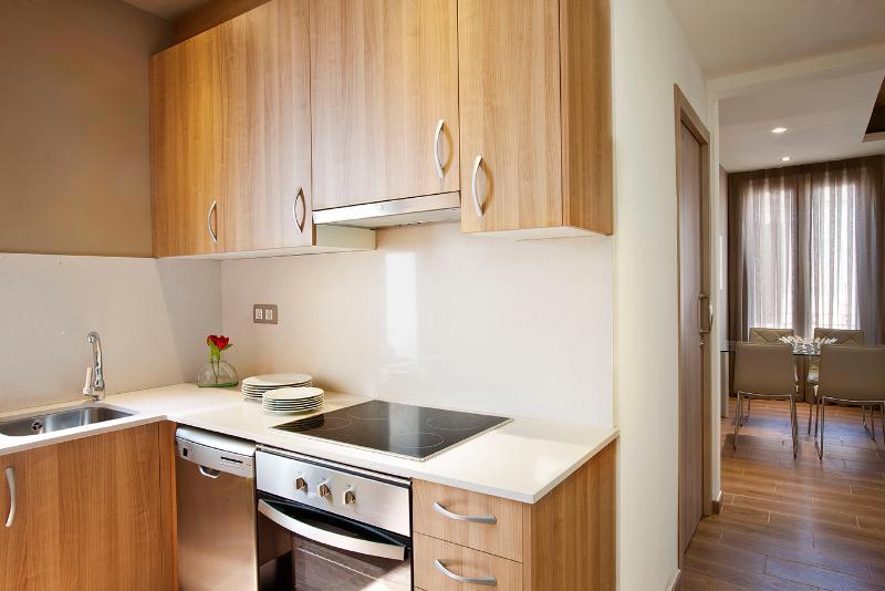 Barcelona Apartment Mila