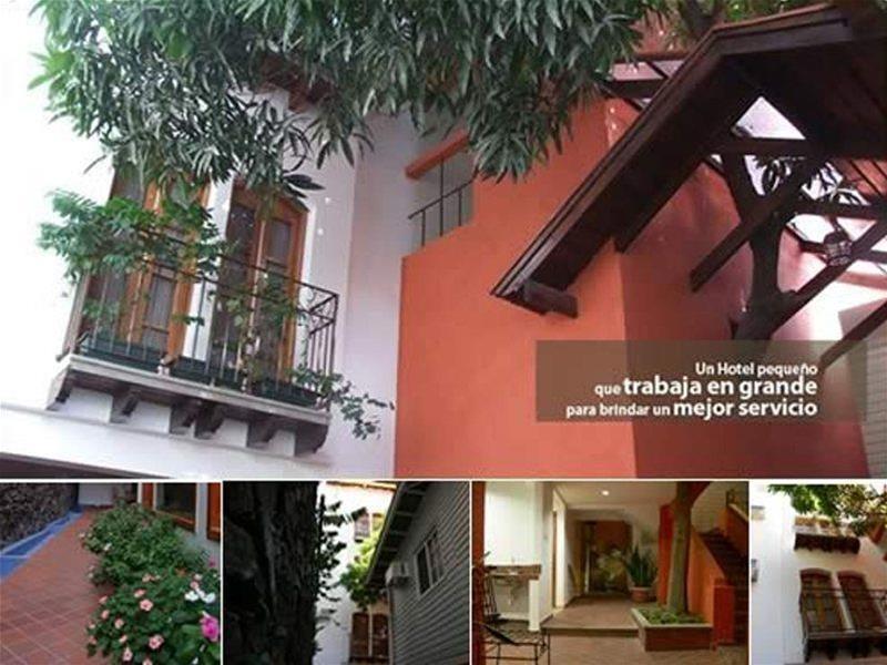 Hotel Casa Del Arbol