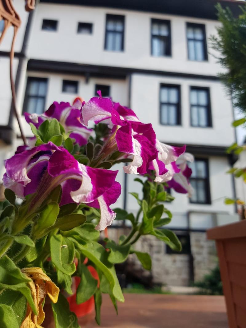 Kastamonu Kadıoğlu Konağı