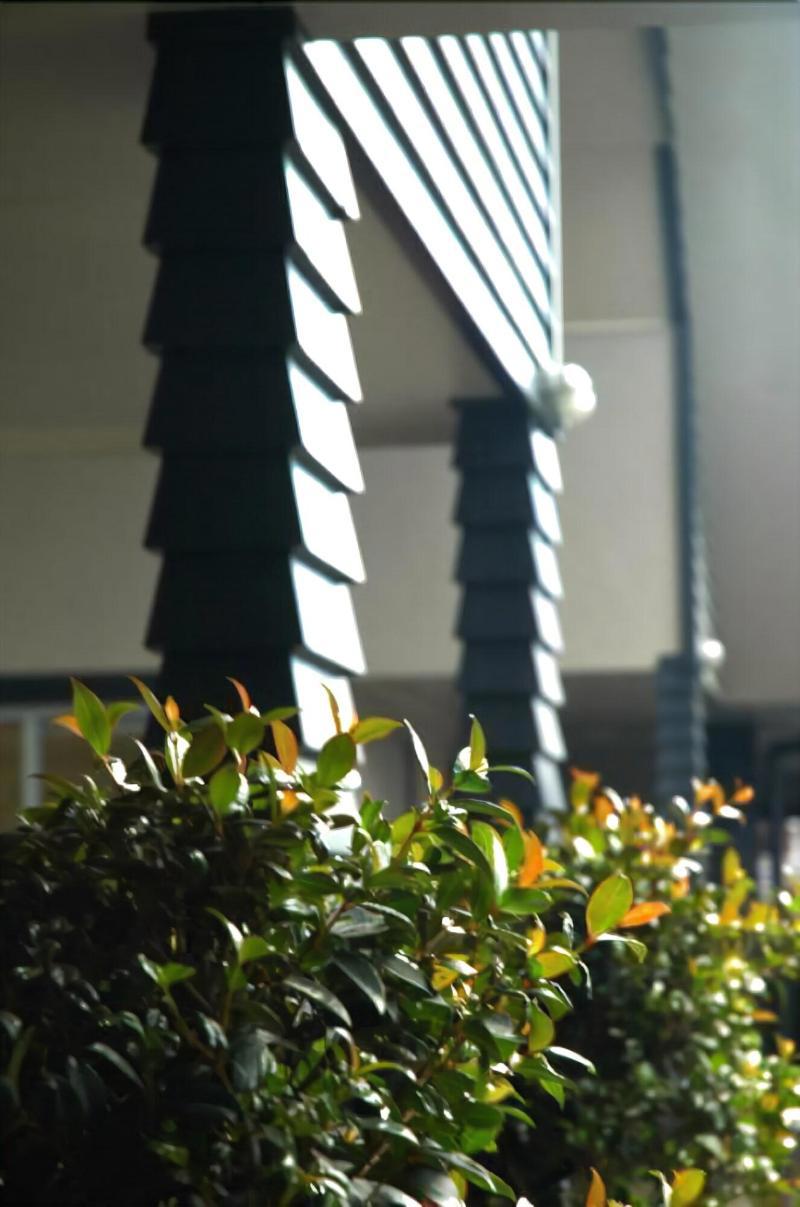 Aveda Motor Lodge