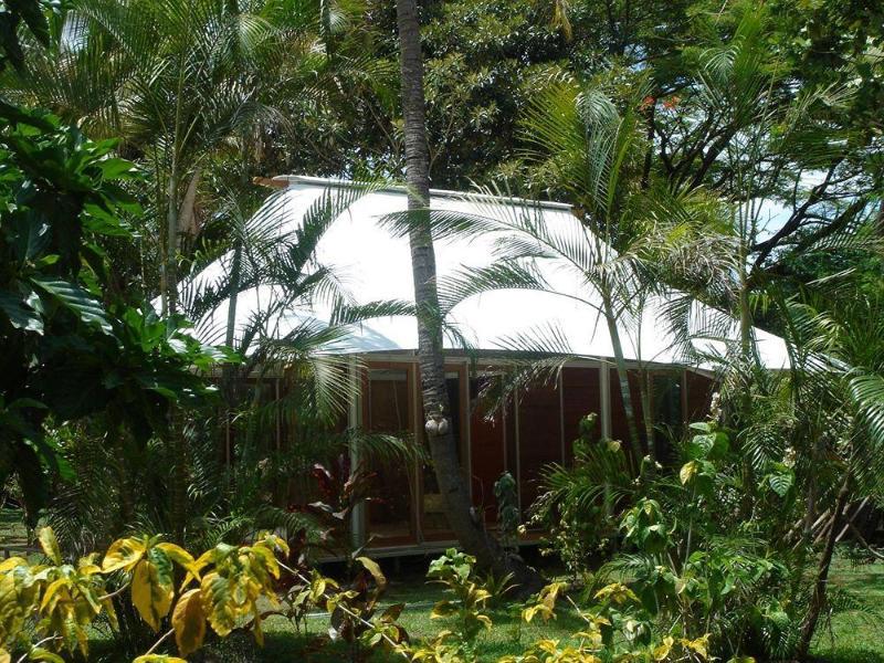 The Fiji Orchid