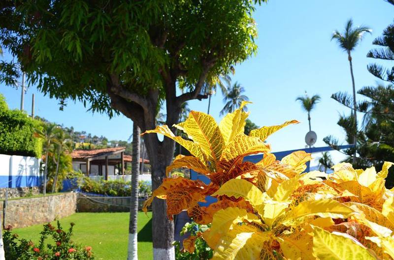Coral Clubes Acapulco