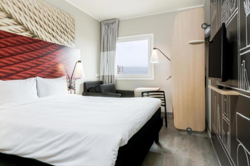 Ibis Copiapo
