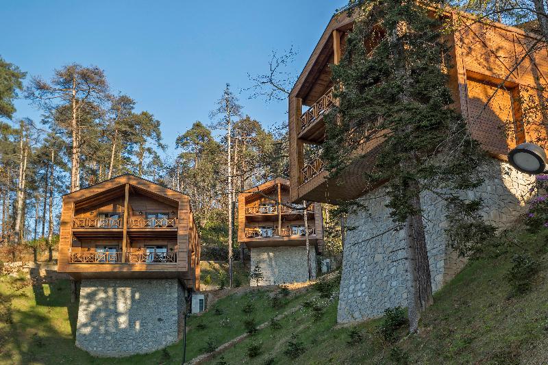 Hancioglu Camburnu Orman Evleri