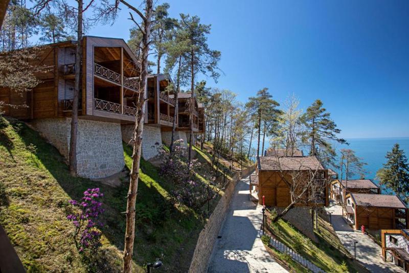 Hancioglu Camburnu Orman Evleri