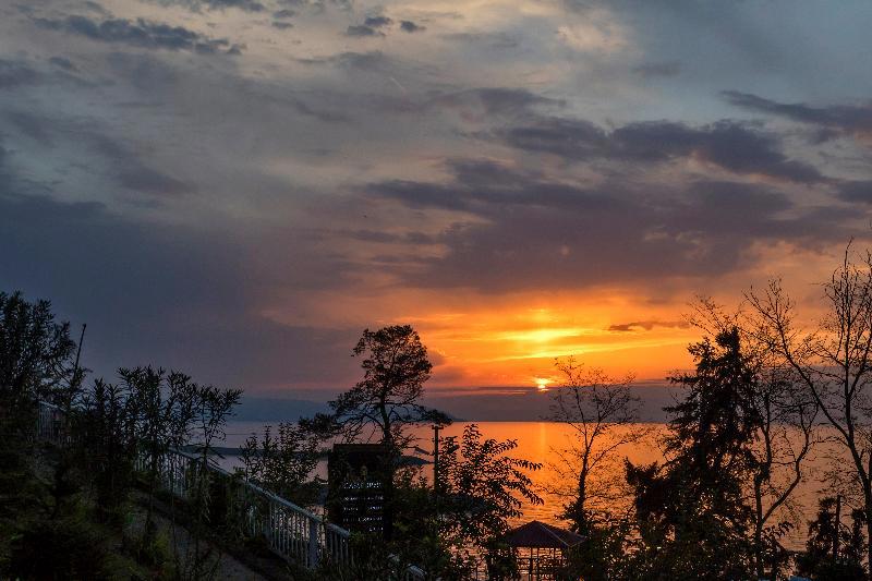 Hancioglu Camburnu Orman Evleri