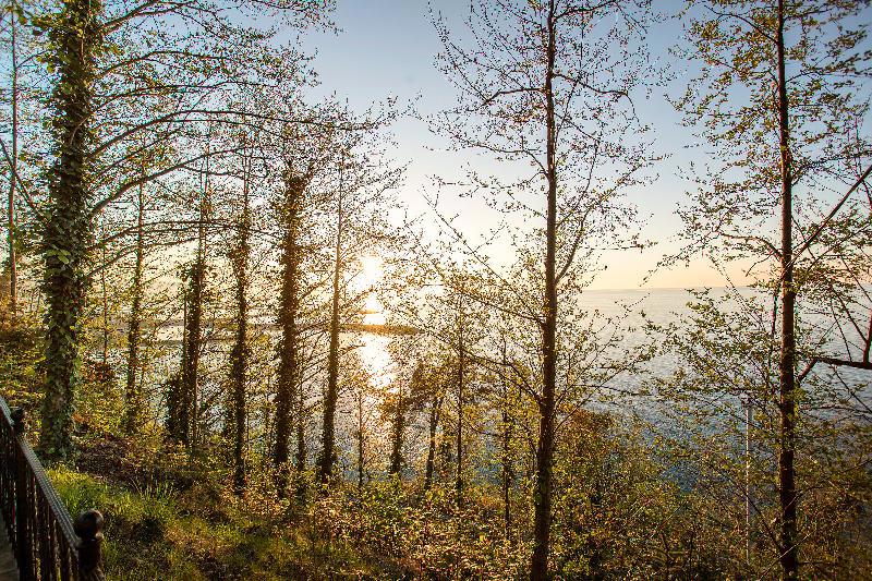 Hancioglu Camburnu Orman Evleri