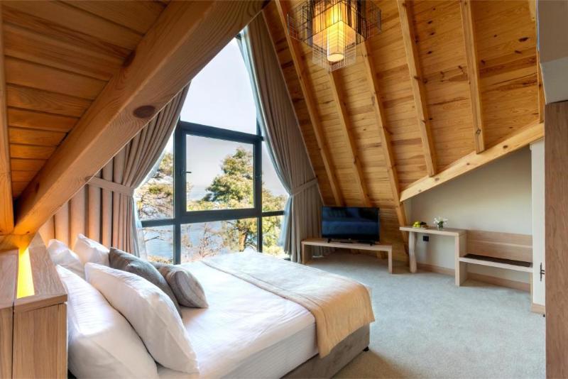 Hancioglu Camburnu Orman Evleri