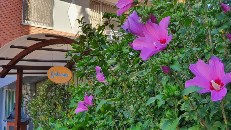 Villa Letizia - Casa Per Ferie galeri fotoğrafı